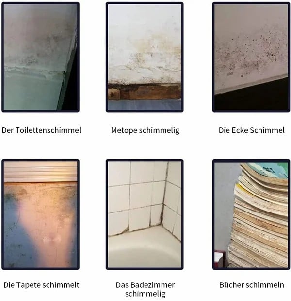 🔥Kaufen 2 bekommen 1 gratis🦠Schimmel- und Mehltau-Entferner Schaumspray